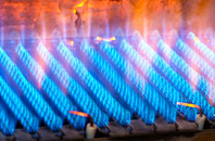 Bonson gas fired boilers